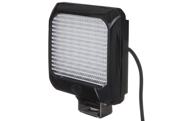 Reverse Light -