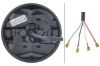 Tail Light Assembly -