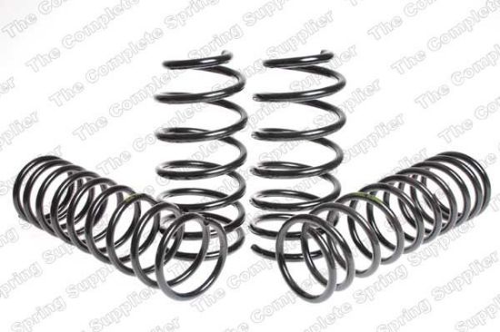 Suspension Set, springs madaldus Ford FIESTA 1,