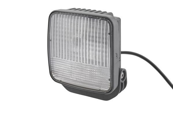 Reverse Light -