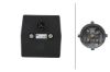 Tail Light Assembly -