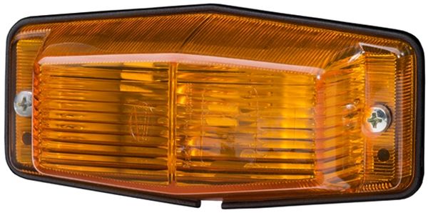 Auxiliary Direction Indicator -