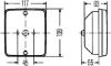 Tail Light -