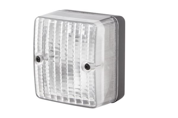 Reverse Light -