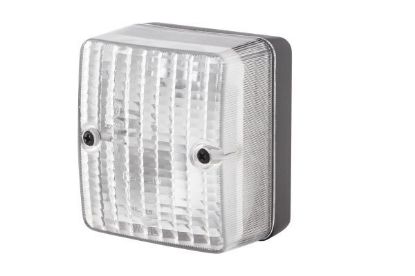Reverse Light -