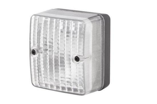 Reverse Light -