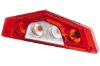 Tail Light Assembly -