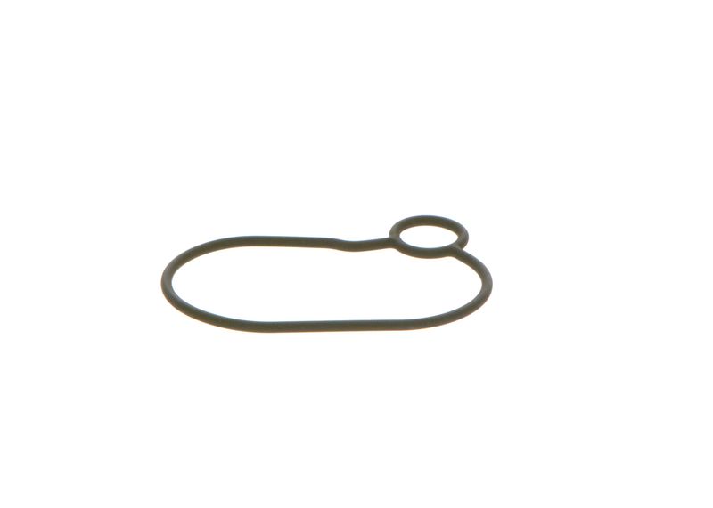 O-ring