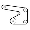 Water Pump + V-Ribbed Belt Kit -