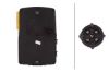 Tail Light Assembly -