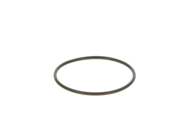 O-ring