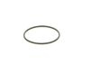 O-ring