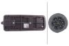 Tail Light Assembly -
