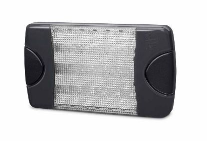 Reverse Light -