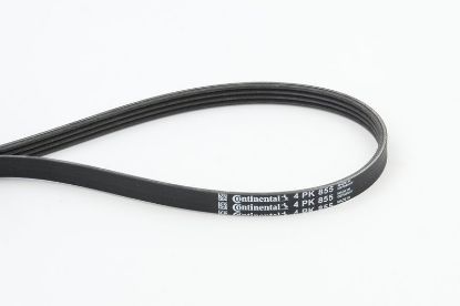 V-Ribbed Belt VAG - 028 260 849G V-Ribbed Belt VAG - 028 260 849G