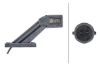 Clearance Light -