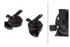 Signal Horn -