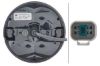 Tail Light Assembly -
