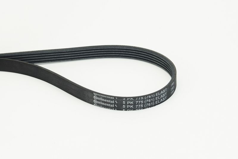 V-Ribbed Belt -