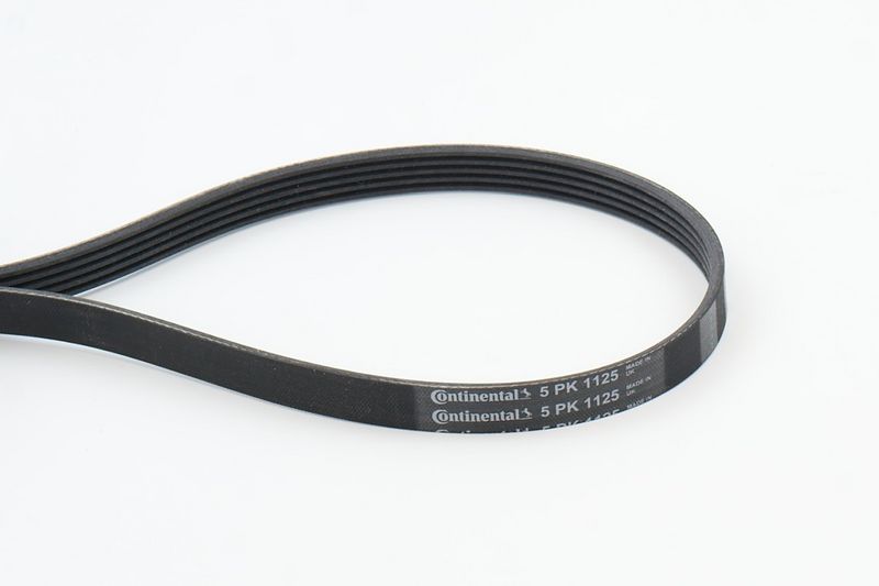 V-Ribbed Belt VAG - 079 903 137AB, BMW - 11 28 1 401 159