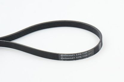 V-Ribbed Belt VAG - 079 903 137AB, BMW - 11 28 1 401 159 V-Ribbed Belt VAG - 079 903 137AB, BMW - 11 28 1 401 159