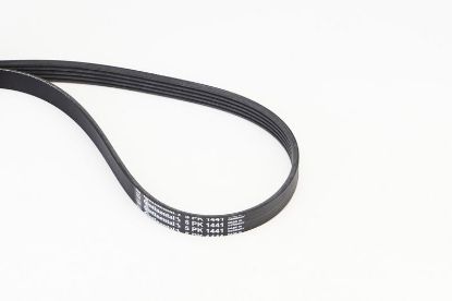 V-Ribbed Belt - V-Ribbed Belt -
