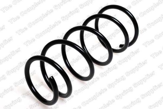 Suspension Spring RENAULT - 77 00 311 493