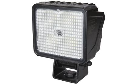 Reverse Light -
