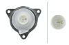 Tail Light -
