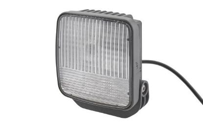 Reverse Light -