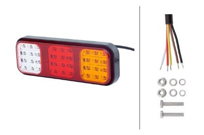 Tail Light Assembly -