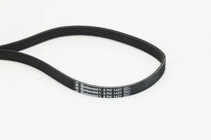 V-Ribbed Belt -