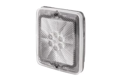Rear Fog Light -