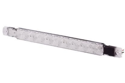 Tail Light Assembly -
