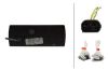 Strobe-type Beacon -