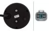 Tail Light Assembly -