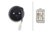 Tail Light Assembly -