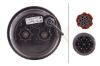 Tail Light Assembly -