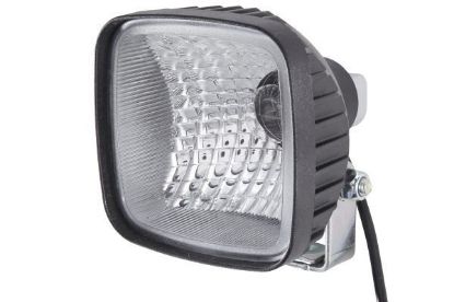 Reverse Light -