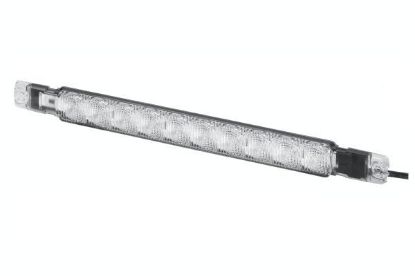 Reverse Light -