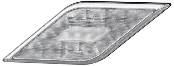 Rear Fog Light -