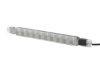 Reverse Light -