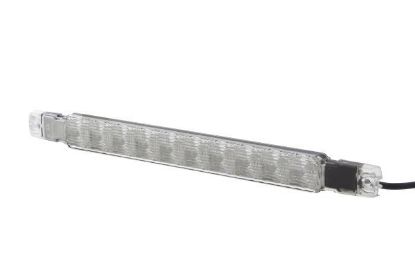 Reverse Light -