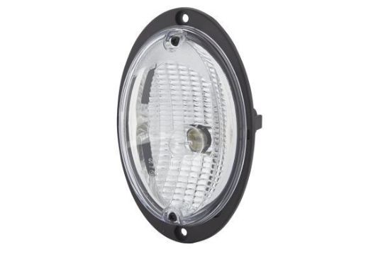 Reverse Light -