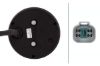 Tail Light Assembly -