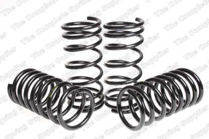 Suspension Set, springs madaldus Ford ESCORT RS