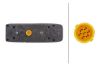 Tail Light Assembly -