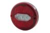 Tail Light Assembly -