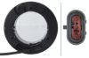 Tail Light Assembly -