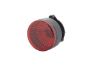 Tail Light Assembly -
